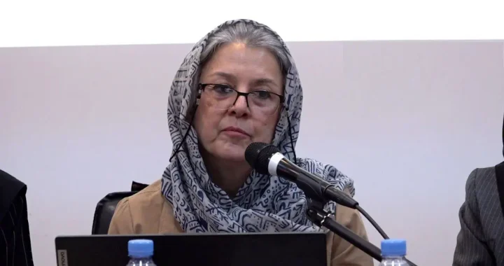 اتفاق تاریخی در انجمن جامعه‌شناسی؛ ریاست به یک زن رسید