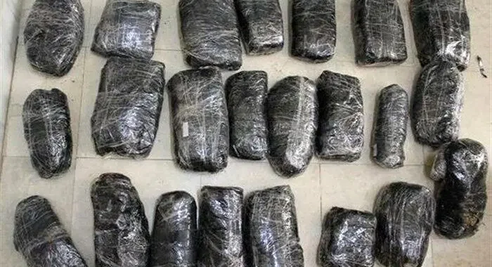 ۱۰ تن مواد مخدر در تور پلیس؛ ۴۱ باند منهدم شدند