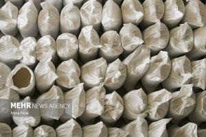 کشف ۷۹۰ تن نهادهای دامی و مواد نگهدارنده غذایی احتکاری و قاچاق