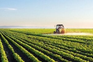 تعهدات ارزی و قوانین موجودتولید و صادرات کشاورزی را از رمق انداخته است