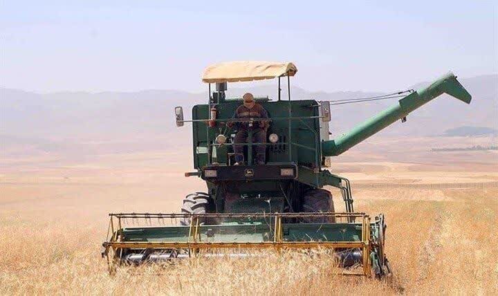 آغاز برداشت جو دیم از ۳۵۰ هکتار اراضی بندر خمیر؛ میانگین عملکرد ۱.۵ تن در هر هکتار