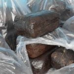 کشف ۳۱۰ گرم تریاک از معده مسافر اتوبوس در قاینات